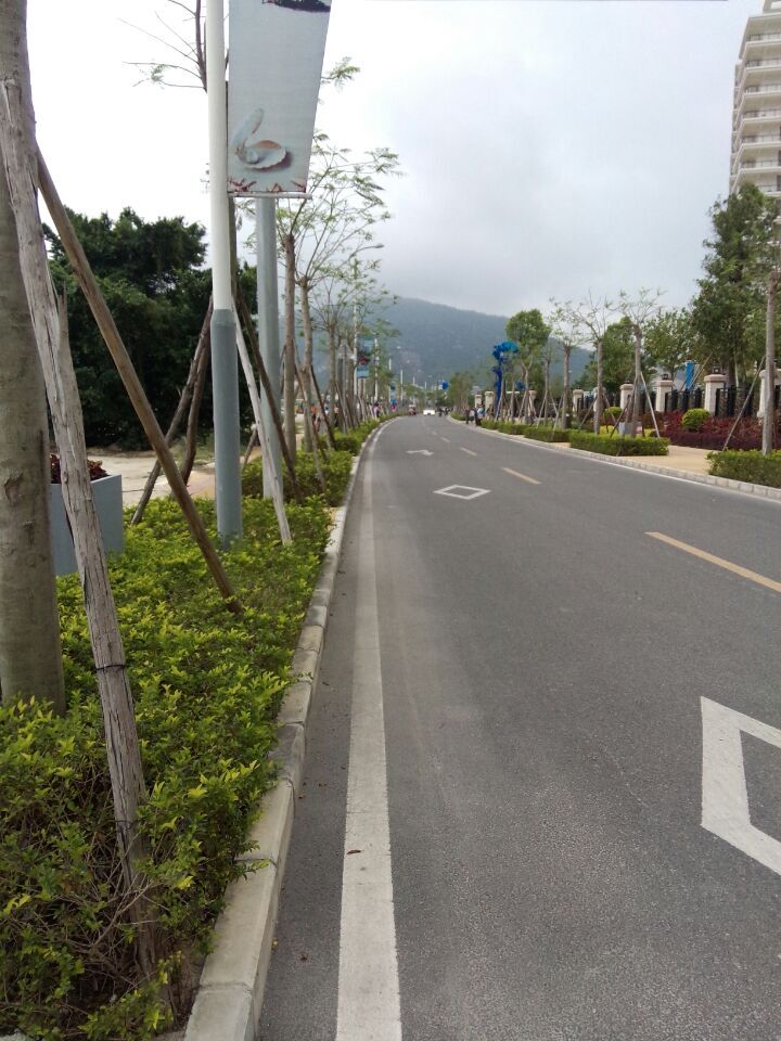 惠东潠路上